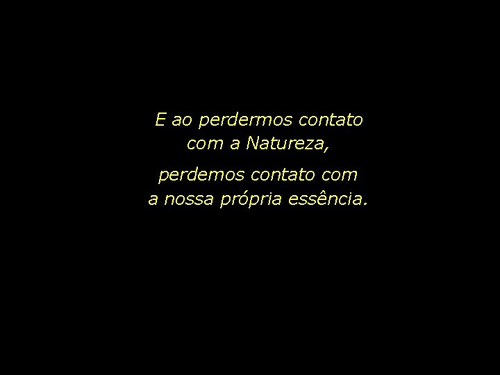 E ao perdermos contato com a Natureza, perdemos contato com a nossa própria essência.