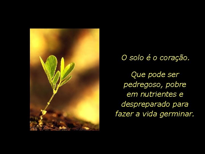 O solo é o coração. Que pode ser pedregoso, pobre em nutrientes e despreparado