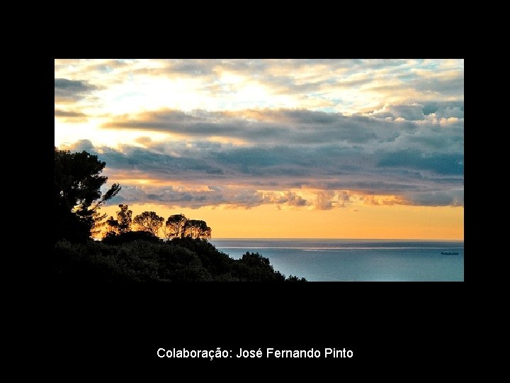 Colaboração: José Fernando Pinto 