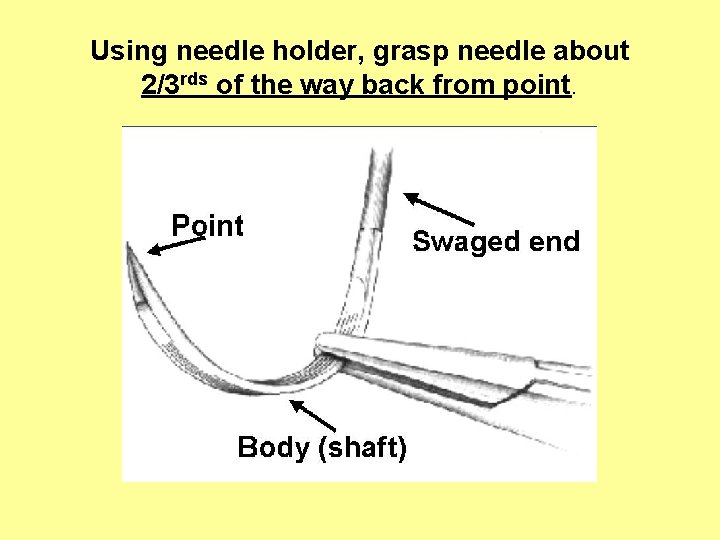 Using needle holder, grasp needle about 2/3 rds of the way back from point.