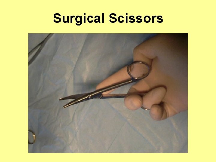 Surgical Scissors 