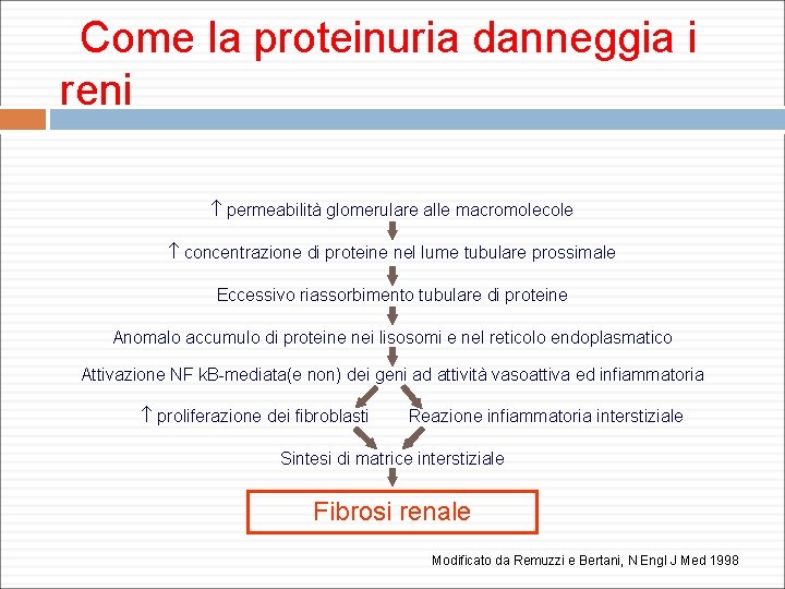  Come la proteinuria danneggia i reni permeabilità glomerulare alle macromolecole concentrazione di proteine