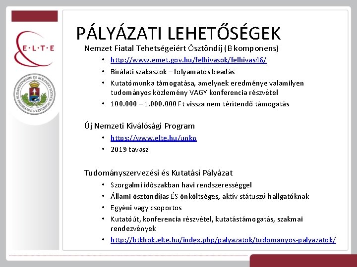 PÁLYÁZATI LEHETŐSÉGEK Nemzet Fiatal Tehetségeiért Ösztöndíj (B komponens) • http: //www. emet. gov. hu/felhivasok/felhivas
