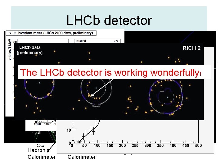 LHCb detector efficient trigger on leptons, photons and hadrons excellent momentum and vertex resolution