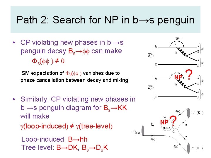 Path 2: Search for NP in b→s penguin • CP violating new phases in