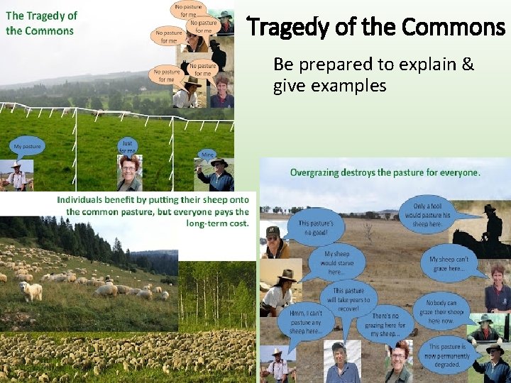Tragedy of the Commons Be prepared to explain & give examples 