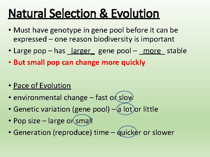 Natural Selection & Evolution • Must have genotype in gene pool before it can