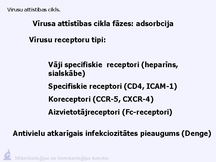 Vīrusu attīstības cikls. Vīrusa attīstības cikla fāzes: adsorbcija Vīrusu receptoru tipi: Vāji specifiskie receptori