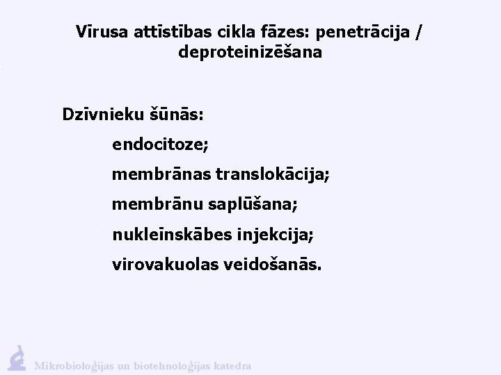 Vīrusa attīstības cikla fāzes: penetrācija / deproteinizēšana Dzīvnieku šūnās: endocitoze; membrānas translokācija; membrānu saplūšana;