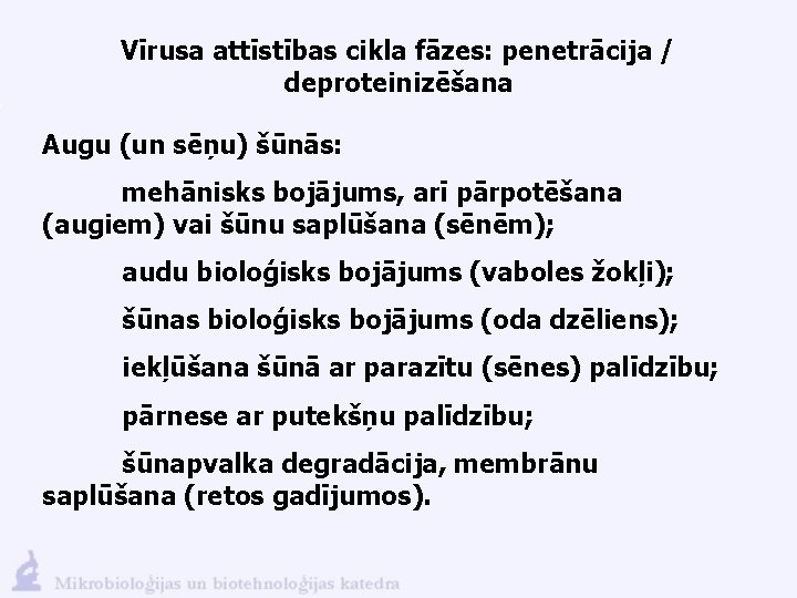 Vīrusa attīstības cikla fāzes: penetrācija / deproteinizēšana Augu (un sēņu) šūnās: mehānisks bojājums, arī