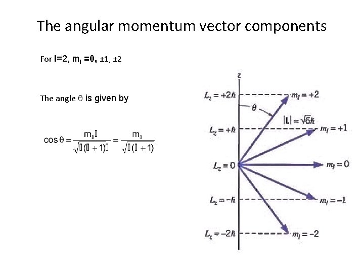 The angular momentum vector components For l=2, ml =0, ± 1, ± 2 The