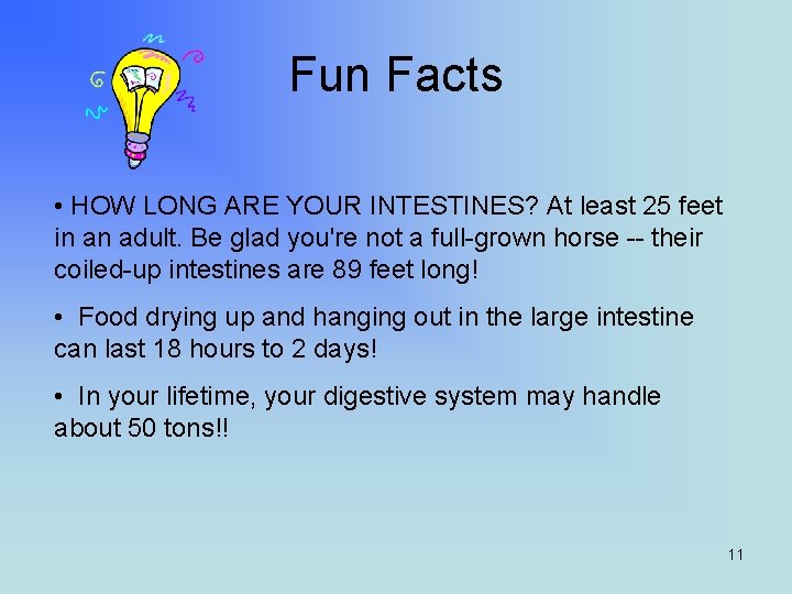 Fun Facts • HOW LONG ARE YOUR INTESTINES? At least 25 feet in an