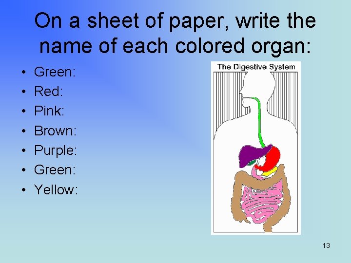 On a sheet of paper, write the name of each colored organ: • •