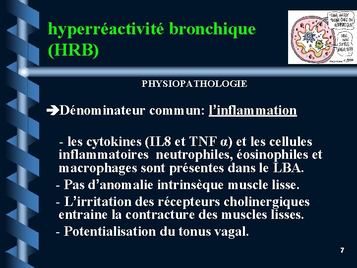 hyperréactivité bronchique (HRB) PHYSIOPATHOLOGIE Dénominateur commun: l’inflammation - les cytokines (IL 8 et TNF