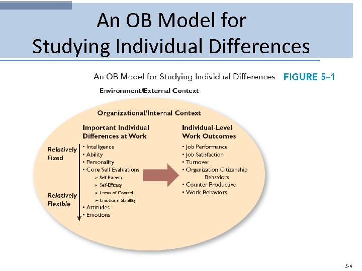 An OB Model for Studying Individual Differences 5 -4 