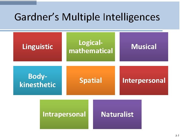 Gardner’s Multiple Intelligences Linguistic Logicalmathematical Musical Bodykinesthetic Spatial Interpersonal Intrapersonal Naturalist 5 -7 