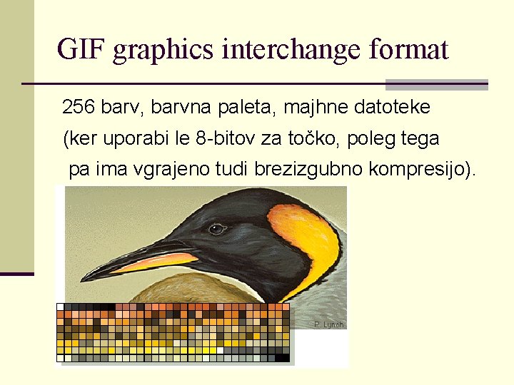 GIF graphics interchange format 256 barv, barvna paleta, majhne datoteke (ker uporabi le 8