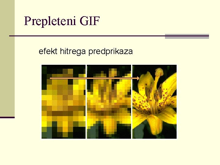 Prepleteni GIF efekt hitrega predprikaza 