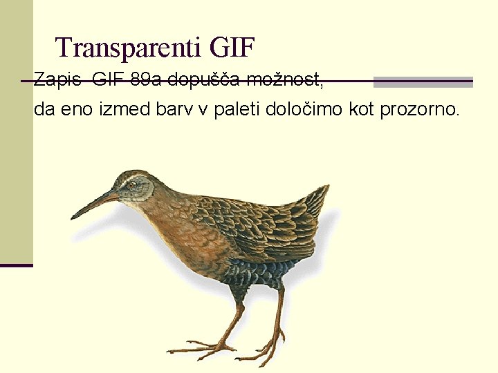 Transparenti GIF Zapis GIF 89 a dopušča možnost, da eno izmed barv v paleti