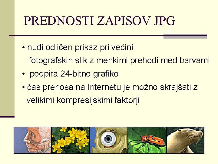 PREDNOSTI ZAPISOV JPG • nudi odličen prikaz pri večini fotografskih slik z mehkimi prehodi