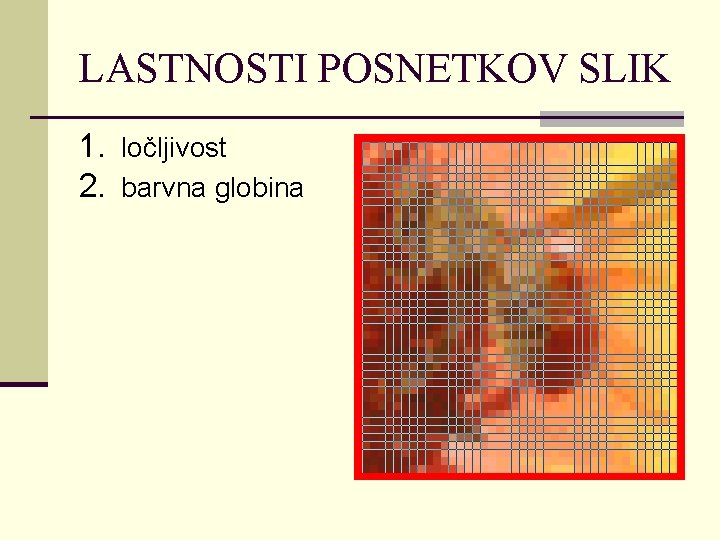 LASTNOSTI POSNETKOV SLIK 1. ločljivost 2. barvna globina 