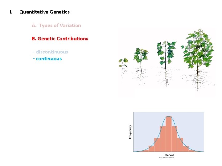 I. Quantitative Genetics A. Types of Variation B. Genetic Contributions - discontinuous - continuous