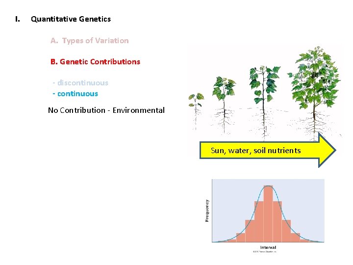 I. Quantitative Genetics A. Types of Variation B. Genetic Contributions - discontinuous - continuous