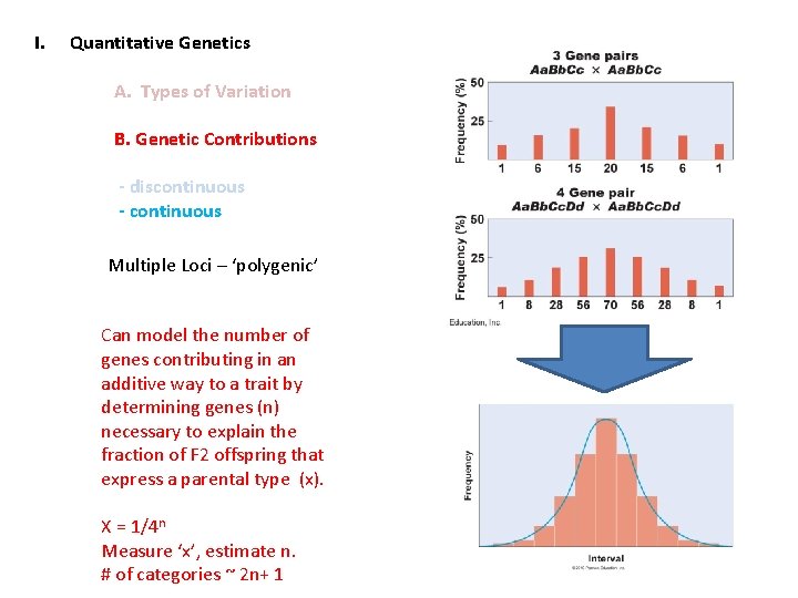 I. Quantitative Genetics A. Types of Variation B. Genetic Contributions - discontinuous - continuous