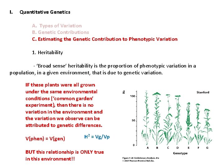 I. Quantitative Genetics A. Types of Variation B. Genetic Contributions C. Estimating the Genetic