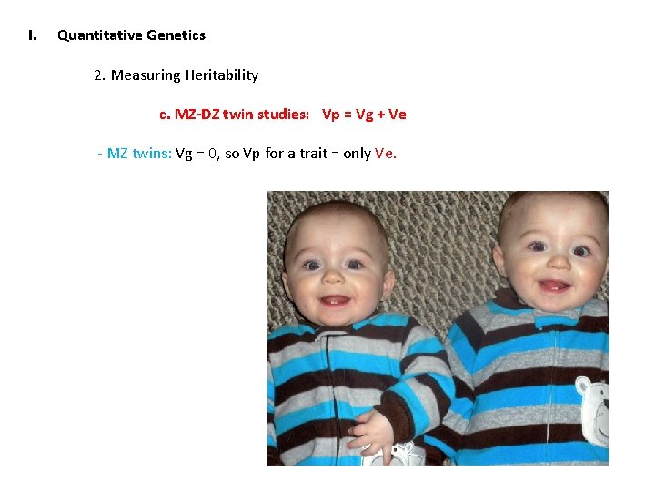 I. Quantitative Genetics 2. Measuring Heritability c. MZ-DZ twin studies: Vp = Vg +