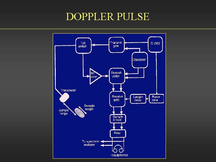 DOPPLER PULSE 