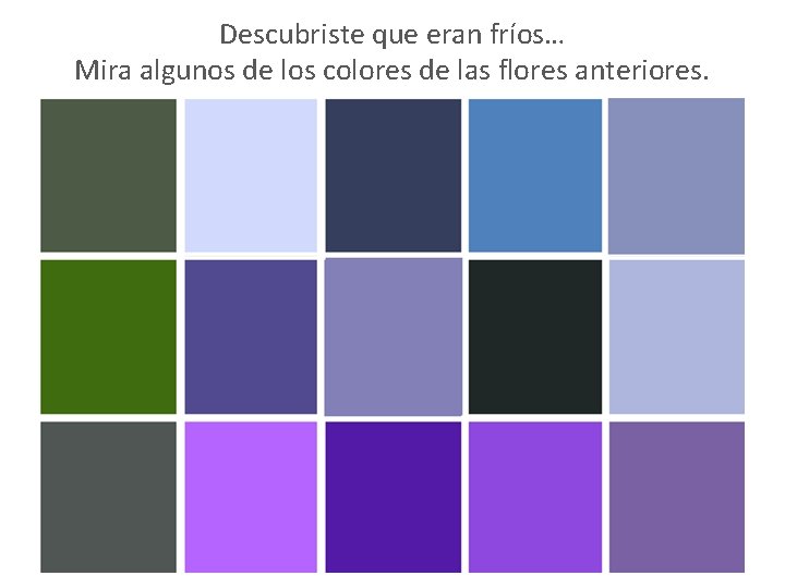 Descubriste que eran fríos… Mira algunos de los colores de las flores anteriores. 
