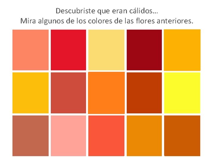 Descubriste que eran cálidos… Mira algunos de los colores de las flores anteriores. 