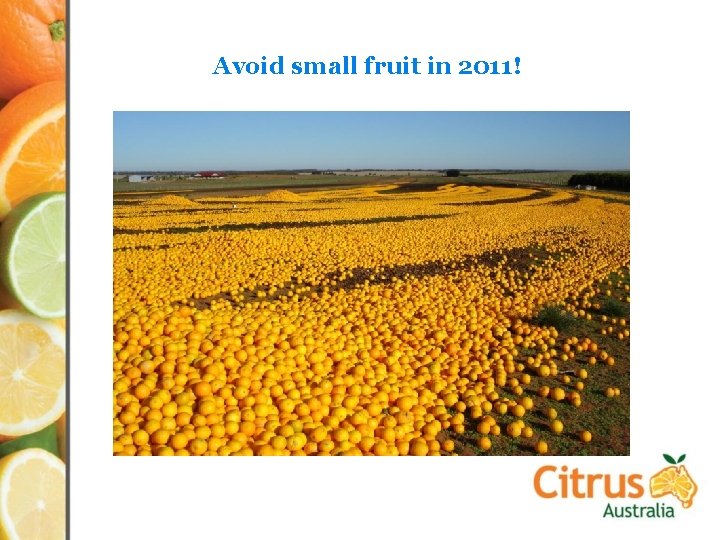 Avoid small fruit in 2011! 