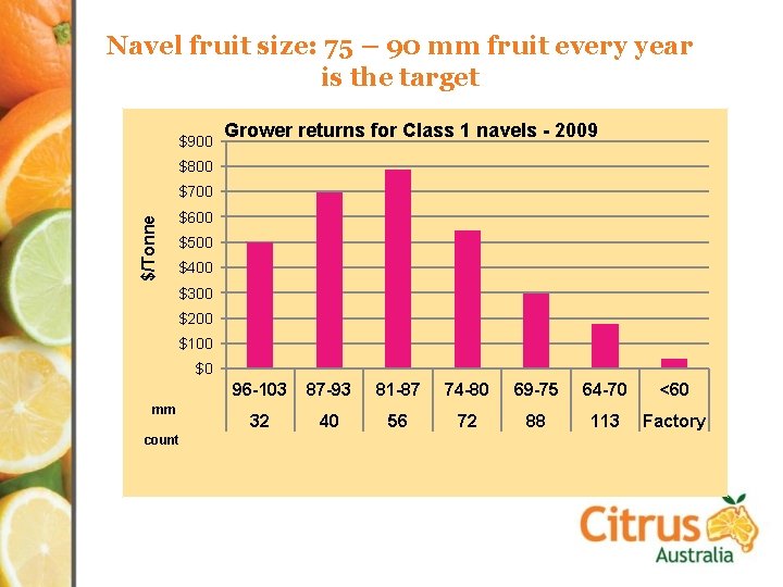 Navel fruit size: 75 – 90 mm fruit every year is the target $900