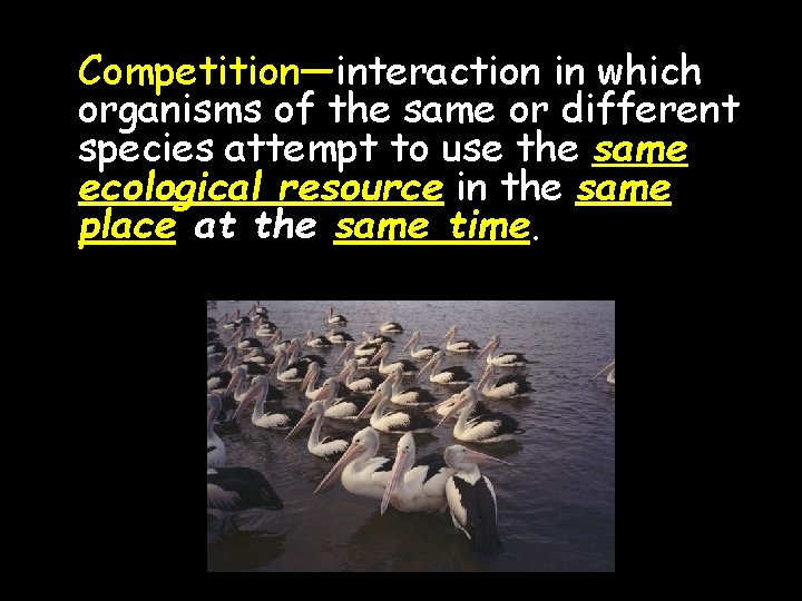 Competition—interaction in which organisms of the same or different Competition species attempt to use