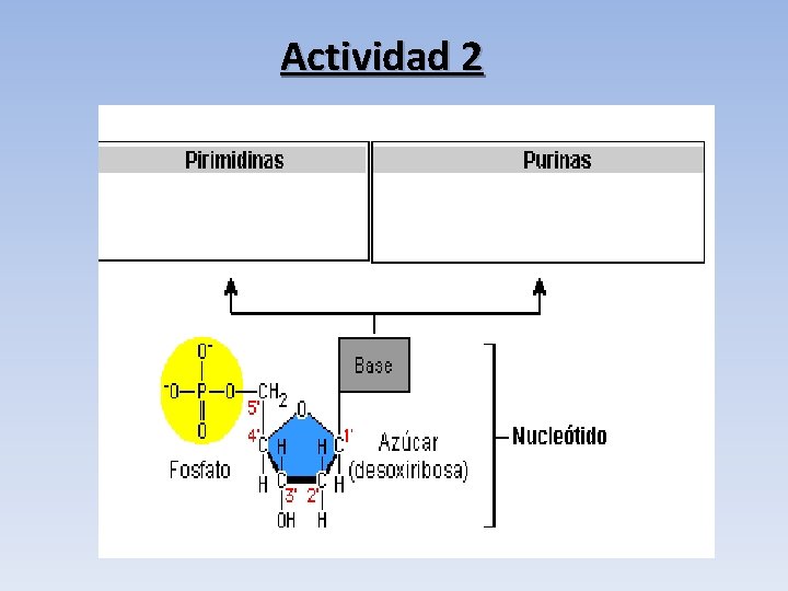 Actividad 2 