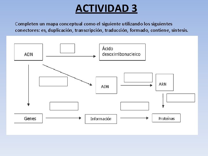 ACTIVIDAD 3 Completen un mapa conceptual como el siguiente utilizando los siguientes conectores: es,