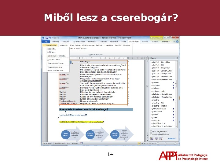 Miből lesz a cserebogár? 14 