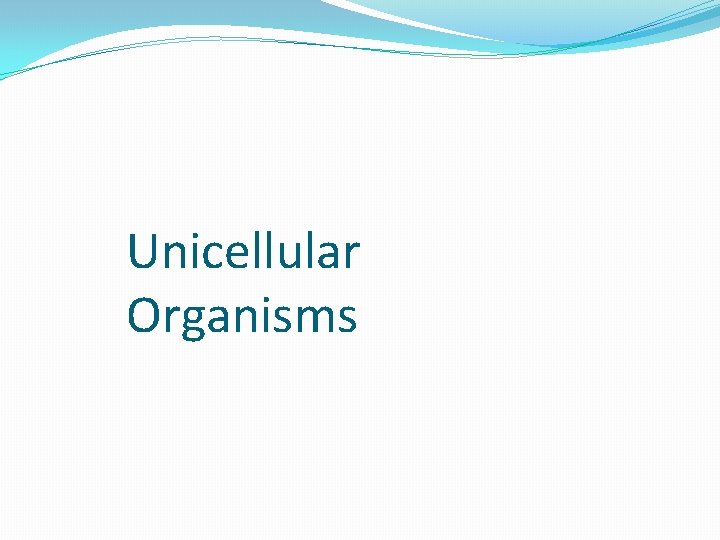 Unicellular Organisms Unicellular Organisms