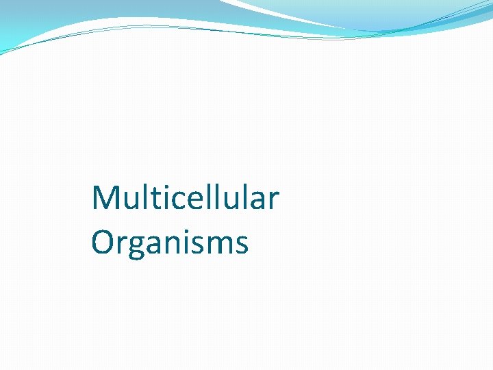 Multicellular Organisms Multicellular Organisms