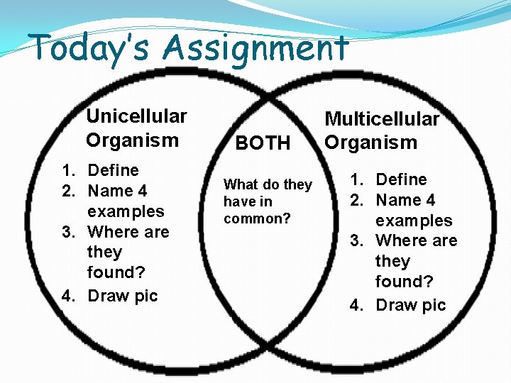Today’s Assignment Unicellular Organism 1. Define 2. Name 4 examples 3. Where are they Today’s Assignment Unicellular Organism 1. Define 2. Name 4 examples 3. Where are they
