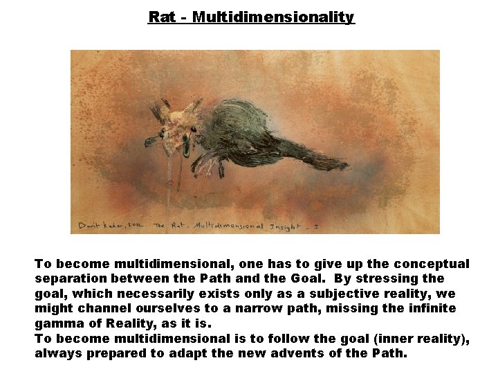 Rat - Multidimensionality To become multidimensional, one has to give up the conceptual separation