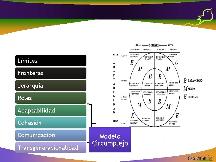 Límites Fronteras Jerarquía Roles Adaptabilidad Cohesión Comunicación Transgeneracionalidad Modelo Circumplejo 