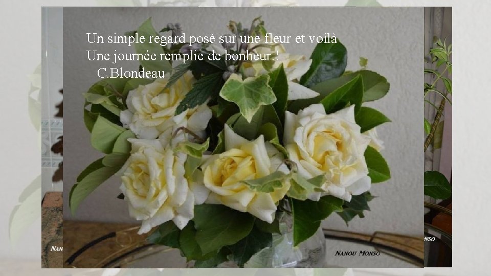Un simple regard posé sur une fleur et voilà Une journée remplie de bonheur.