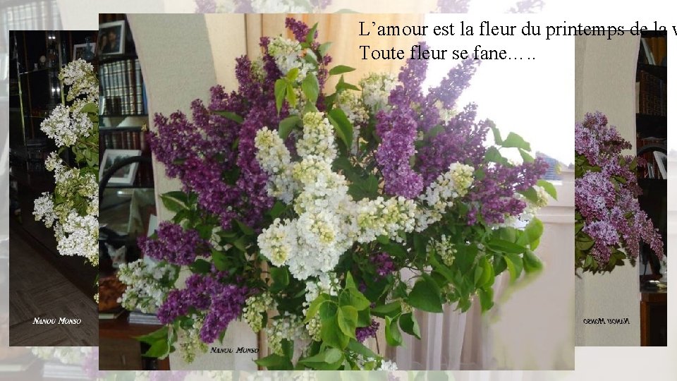 L’amour est la fleur du printemps de la v Toute fleur se fane…. .