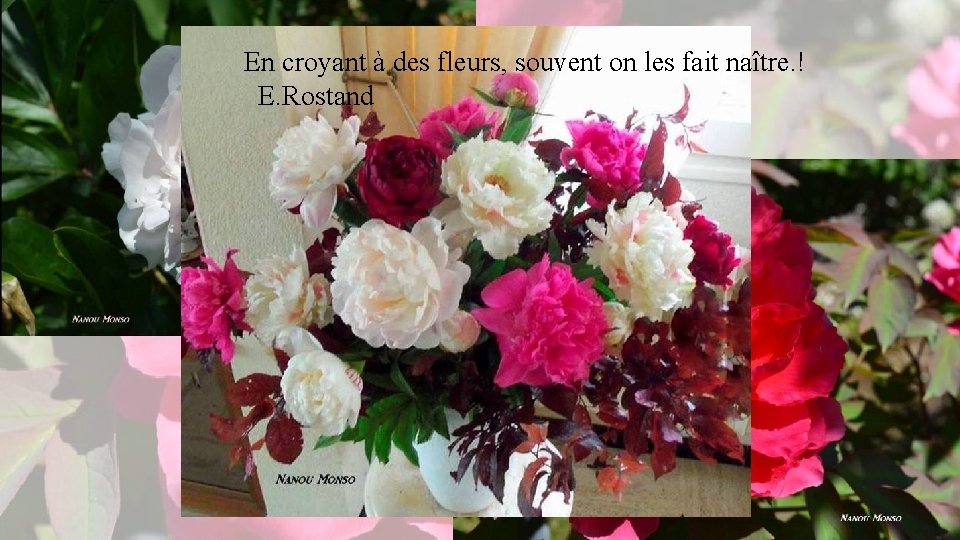 En croyant à des fleurs, souvent on les fait naître. ! E. Rostand 