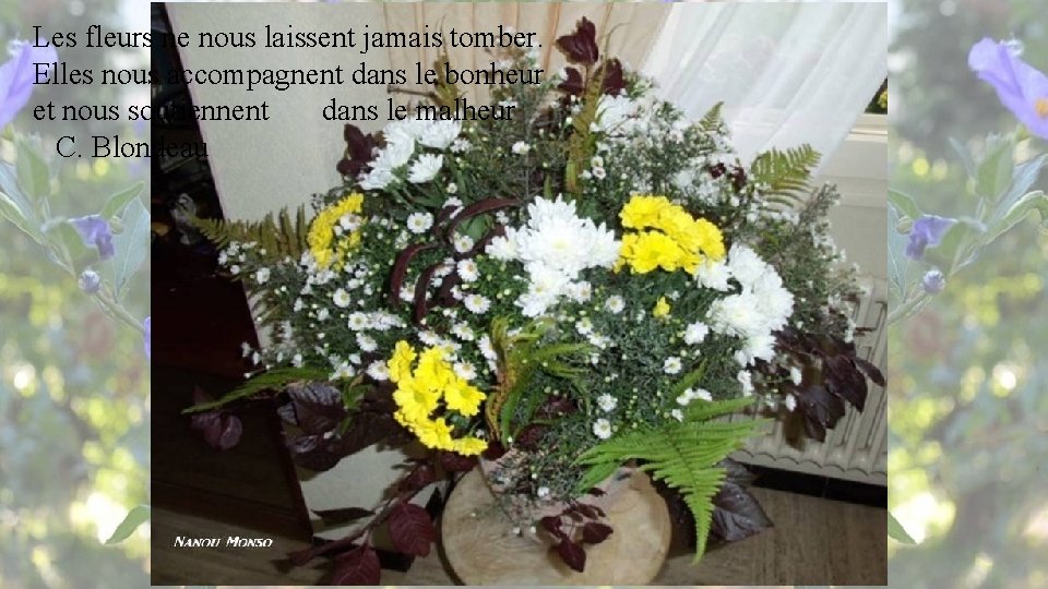 Les fleurs ne nous laissent jamais tomber. Elles nous accompagnent dans le bonheur et