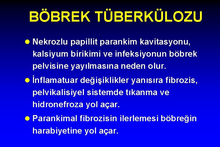 BÖBREK TÜBERKÜLOZU l Nekrozlu papillit parankim kavitasyonu, kalsiyum birikimi ve infeksiyonun böbrek pelvisine yayılmasına