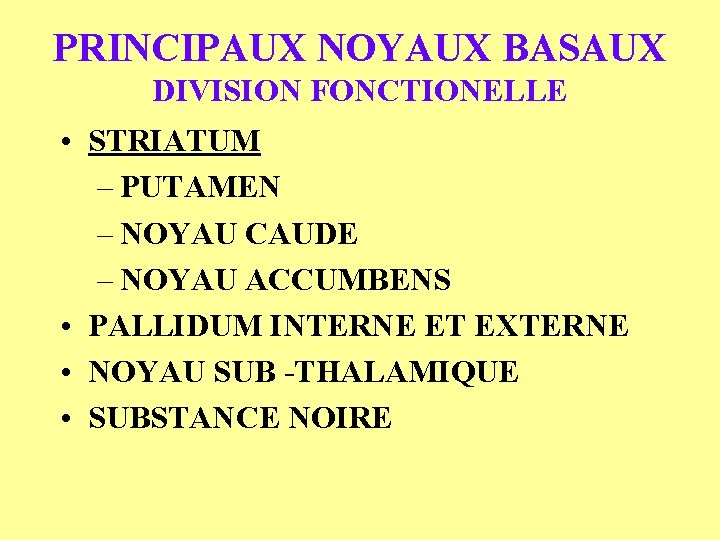 PRINCIPAUX NOYAUX BASAUX DIVISION FONCTIONELLE • STRIATUM – PUTAMEN – NOYAU CAUDE – NOYAU